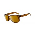 Яхтенные очки солнцезащитные Oakley Holdbrook 9102-30